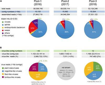 Virome Analysis of Aphid Populations That Infest the Barley Field: The Discovery of Two Novel Groups of Nege/Kita-Like Viruses and Other Novel RNA Viruses